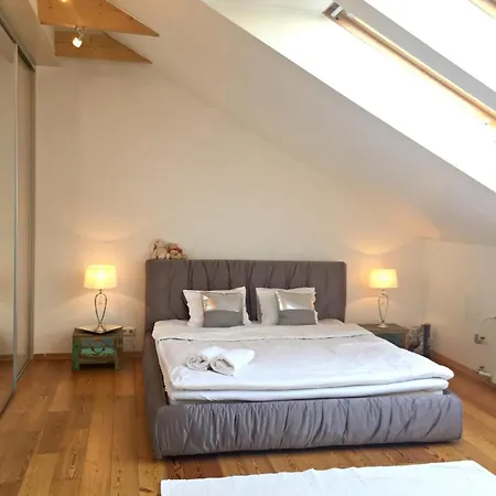 Dream Luminous City Center Penthouse * Ταλίν